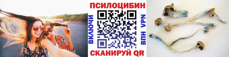 Псилоцибиновые грибы MAGIC MUSHROOMS  где продают наркотики  Ахтырский 